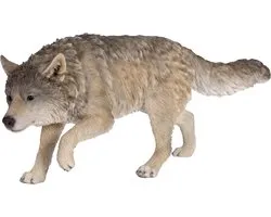 Sluipende Wolf Beeld - Hars Wolf Figuur - Tuindecoratie - Handgeschilderd Realistisch - L355 x B12 x H16 CM - Grijs