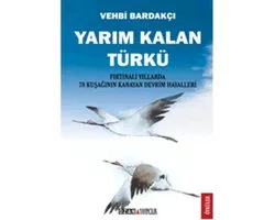 Yarım Kalan Türkü