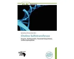Choline Sulfotransferase