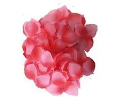 Paquet de pétales de rose rouge-rose