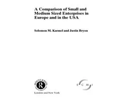 Routledge Studies in Business Organizations and Networks - Comparison of Small and Medium Sized Enterprises in Europe and in the USA
