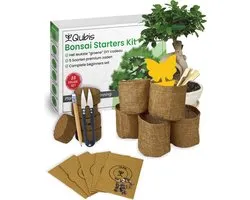 Qubis Bonsai Tree Kit de culture - 5 variétés de Premium Bonsaïs Graines - 23 pièces - DIY - Culture d'arbres en intérieur - Kit de démarrage de graines de Bonsai pour débutants