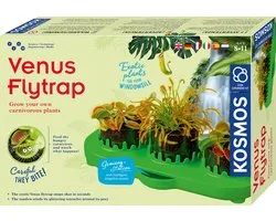 Venus Flytrap