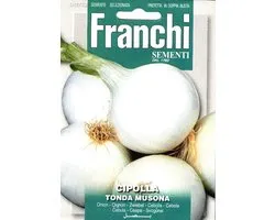 Fr Cipolla Tonda Musona - Oignons Blanc 42/33