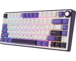 Royal Kludge RKR75 - Clavier de Gaming mécanique RVB - Toucher mousse - Switch remplaçable à Hot - Blackberry - Interrupteurs Blue - Housse anti-poussière incluse