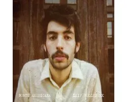 North America (LP)