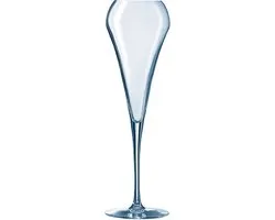 Chef & Sommelier champagne glasses, set of 6