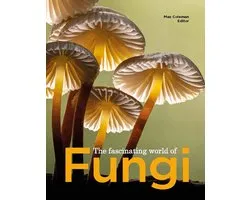 The Fascinating World of Fungi