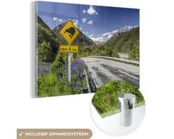MuchoWow® Peinture sur Verre - Panneau de signalisation pour traverser les kiwis - 60x40 cm - Peintures sur Verre Acrylique - Photo sur Glas