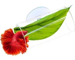 Rustblad voor Betta-vissen - Hangmattunnel - Imitatieblad - Acrylbuis - Aquariumaccessoires - Aquariumdecoratie - Geschikt voor Betta-vissen om te rusten en te paaien - Transparant - Groen - Tunnel 8*4*4 cm