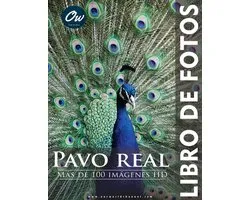 Libro de Fotos - Más de 100 Imágenes HD- Pavo real