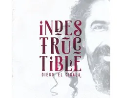 Indestructible