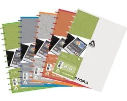 Adoc Bind-Ex A4 Showmap 30 Hoezen Colorlines Transparant
