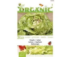 Buzzy® Organic Kropsla Meikoningin (BIO)