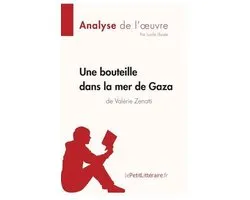 Une bouteille dans la mer de Gaza de Valérie Zenatti (Fiche de lecture)