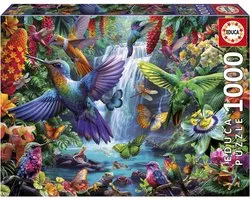 Educa Colibris tropicaux - puzzle 1000 pièces