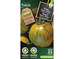 Protecta Groente zaden: Tomaat green Zebra