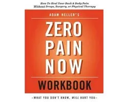 Adam Heller's Zero Pain Now Workbook