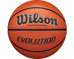 Wilson Evolution Game Indoor - size 6