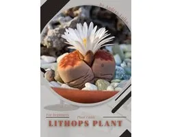 Lithops Plant
