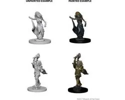 D&D Nolzur's Marvelous Miniatures - Medusas – 2 miniaturen