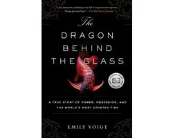 The Dragon Behind the Glass