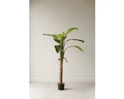 Indore Silva - Kunstplant Banaan - 120cm