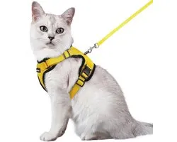 rabbitgoo Kattenharnas en Riem 150cm, Harnas Kat anti-ontsnapping, Kattenharnas Verstelbare, Kattentuigje Reflecterende van Zachte en Ademend, Kattentuigje voor Kitten Kleine Honden, M, Geel