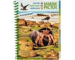 Marine Picto - Eastern Atlantic Low Tide