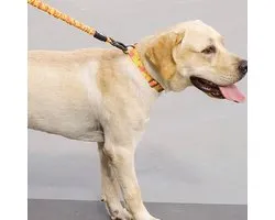 Tuff Hound Pet Collar - Honden Halsband - Verstelbare maat - Nylon halsband - Graffi Design halsband Geschikt voor kleine tot grote Honden - Geel