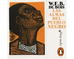 Las almas del pueblo negro