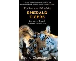 The Rise and Fall of the Emerald Tigers