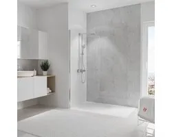 Schulte DecoDesign, paroi arrière de douche en gris pierre brillant 702, taille 150x255 cm, EP19015253 702 / D19015253 702