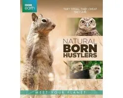 Bbc Earth; Natural Born Hustlers