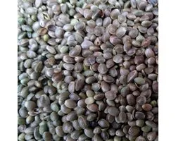 Hennepzaad (5KG) - Partikel