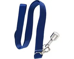 Jeu de boules Ballenraper - Balopvanger Magneet - Spel Vereenvoudigen - Sterke Magneet - 54 cm Touw - Blauw