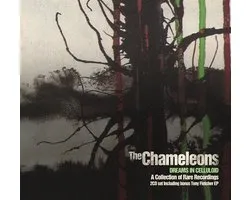Dreams in Celluloid