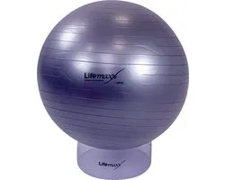 Gymball 75CM (Argent)