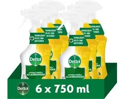 Dettol Trigger Agrumes 750 ml - 6 pièces - Pack économique