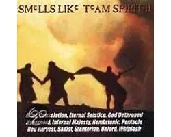 Smells Like Team Spirit 2