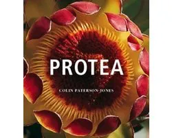 Protea