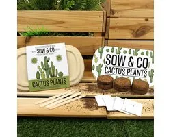 Gift Republic Sow & Co - Kweekset Cactussen