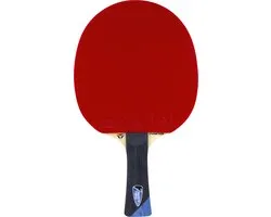 Tibhar Tafeltennisbatje Master Felix Lebrun