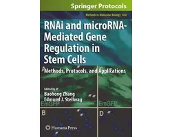 RNAi and microRNA Mediated Gene Regulation in Stem Cells