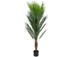 HOMLA - Artificial Plant - TROPICAL ZONE - Palm Tree - 150 cm
