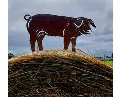Varken - Tuinbeeld - Cortenstaal - NL Fabricaat