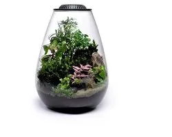 Wabi Kusa Bio Bol 175 Incl. LED Noir