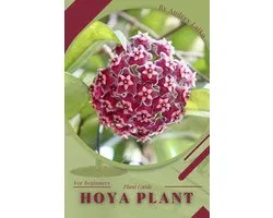 Hoya plant