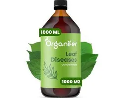 Maladies foliaires Concentré de maladies foliaires - 1L pour 1000m2 - Applicable pour les champignons foliaires et les taches foliaires, y compris la rouille moisissure, les taches foliaires, les taches noires et la moisissure de l'herbe - Organifer