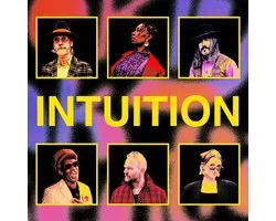 Brooklyn Funk Essentials - Instuition (LP)
